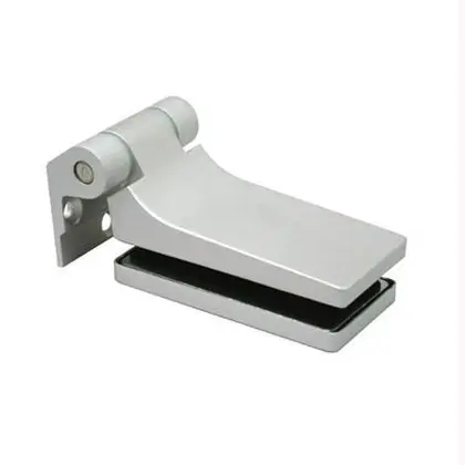 Glass door hinge 