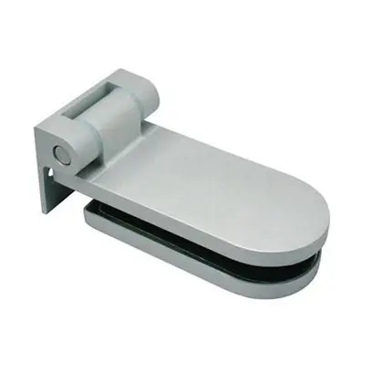 Glass door hinge 