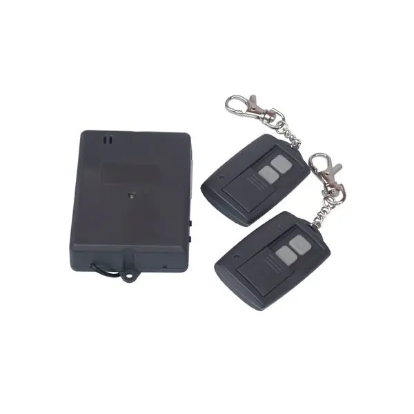 Wireless remote device 