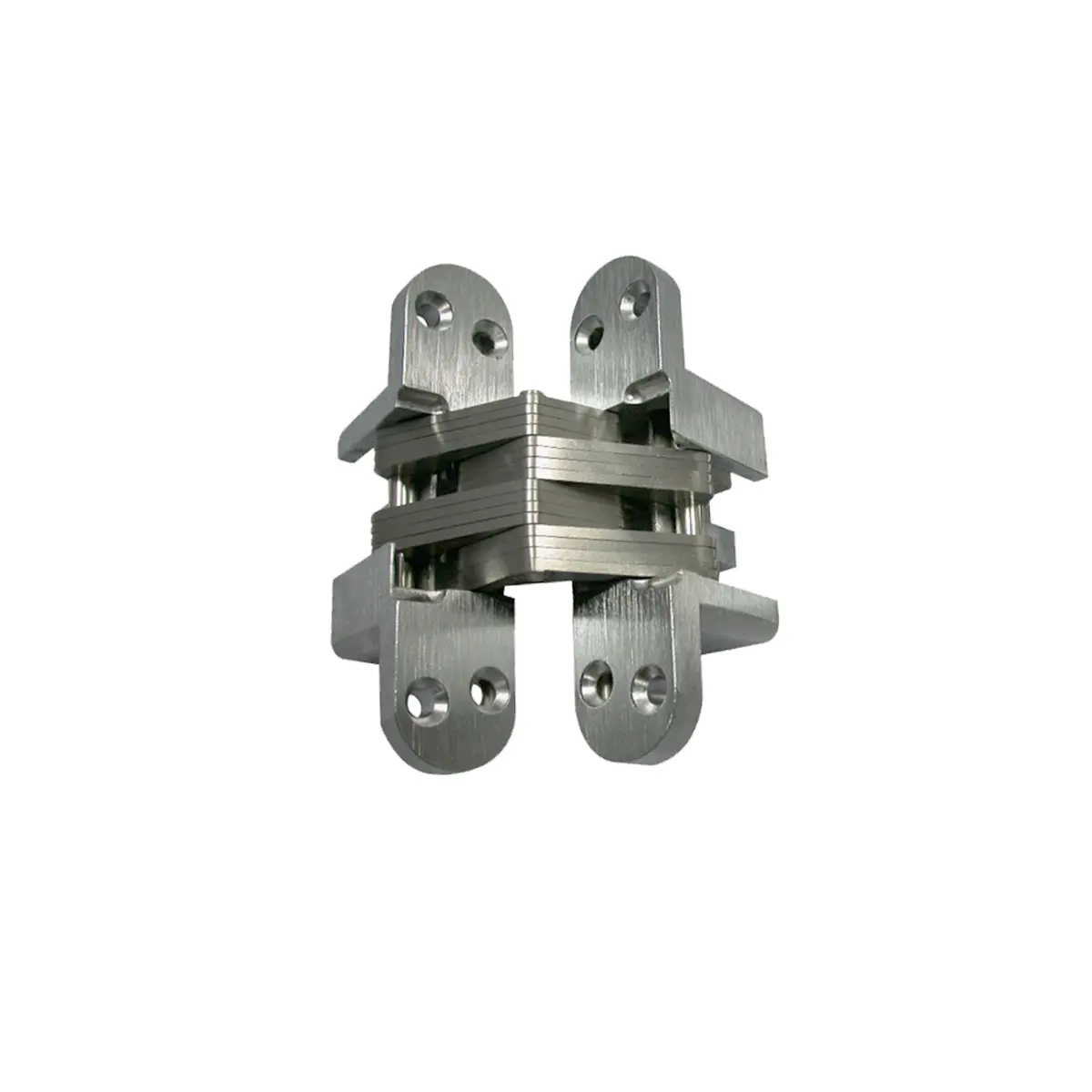 Invisible hinge 