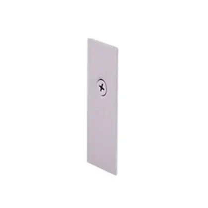 Cover plate for FL-850 wooden door closers 
