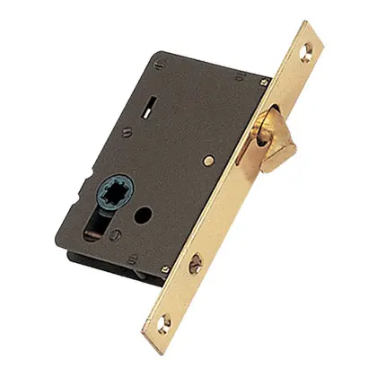 Pocket door lock